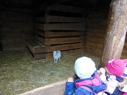 Výlet do svíčkárny Šestajovice